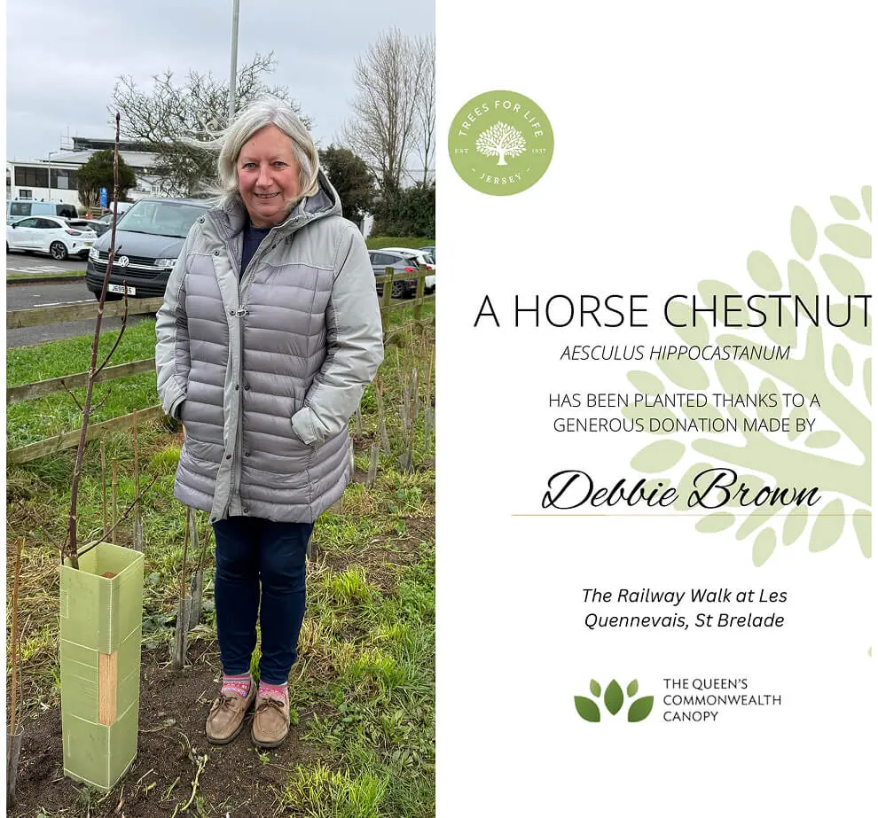 Debbie Brown Award - Trees for Life